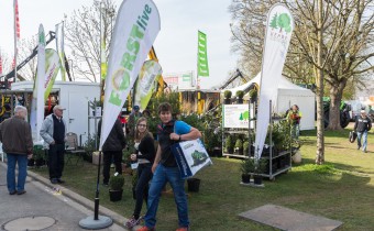 Forst Live Fahnen auf Rasen